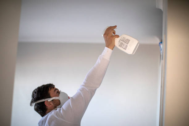 Decatur, IL Mold Remediation Company