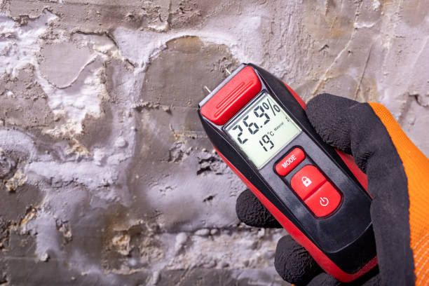 Best Commercial Mold Remediation in Decatur, IL
