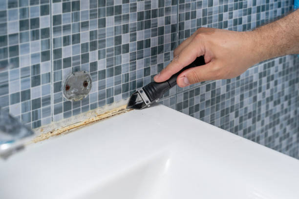 Best DIY Mold Remediation Support Services in Decatur, IL